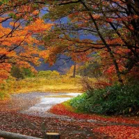 زمین فروشی کنج کوه یزد