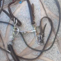 دهنه کلگیر دست جلو وتعلیمی ست کامل
