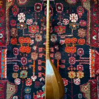 فروش فوری تنبور با مُهر (مجید صفری)