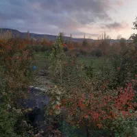 زمین-زراعی-معروف-به-پشته
