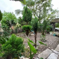 فروش ویلایی۴۵۰ متری سندتک برگ جای بکر و خاص|فروش خانه و ویلا|رشت, حومه رشت|دیوار