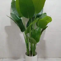 پخش درخت و گل مصنوعی فارس گل