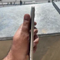 ایفون ۱۱|موبایل|صدرا-فارس, فاز ۱|دیوار