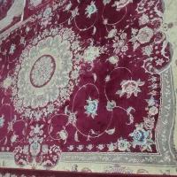 دوعدد قالی تمیز ماشینی|فرش|شوشتر, |دیوار