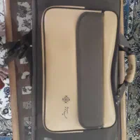 معاوضه سنتور با ویولون
