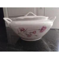 سوپخوری  گل میخک