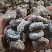 برگه خشک و انجیر خشک