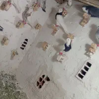 ۱۱تا نر سوراخ ضد خوردی