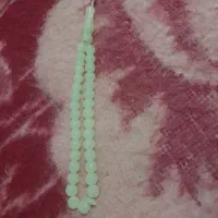 تسبیح شب نما