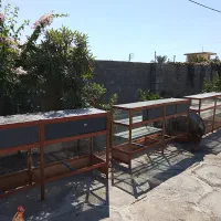 ویترین آلومینیومی فرساندویچ دستگا ذرت مکزیکی یخچال