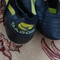 کفش نو|کیف، کفش، کمربند|شیراز, حجت آباد|دیوار