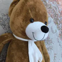 خرس شاسخین ولنتاین، با ارتفاع ۱۷۰ سانتی متر