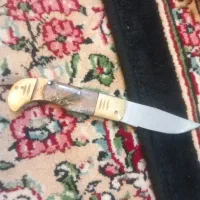 یک‌جفت‌ مرغ‌عشق‌