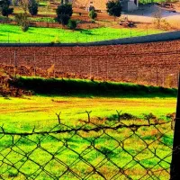 باغ-یا-زمین-کشاورزی-در-روستای-امره