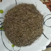 اویشن کوهی وپونه کوهی