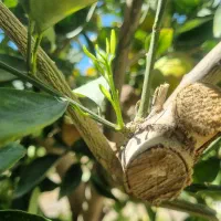 درمان تضمینی و قطعی اعتیاد