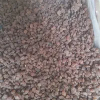 کشمش بیدانه لوکس|خوردنی و آشامیدنی|تاکستان, |دیوار