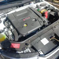 دنا پلاس آپشنال