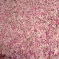 گلاب دو آتیشه گلاب اصل گلاب شهرکرد غنچه گلاب|خوردنی و آشامیدنی|اصفهان, شفق|دیوار