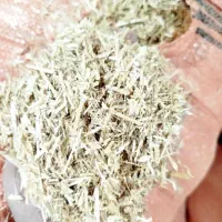 کاه گندم درجه یک