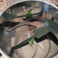 سبزی خرد کن دسینی درحد نو  ۱۵۰۰