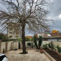 هرس انواع درخت ،شاخه زنی و هرس گل و گیاه