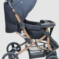 کالسکه دلیجان