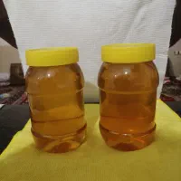 فروش عسل عسل درجه یک|خوردنی و آشامیدنی|شیراز, شهرک سعدی|دیوار
