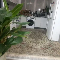 75متری شیک