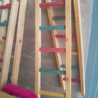 نردبان وایینه پرنده