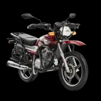 موتور شکاری احسان 200|موتورسیکلت|کرمانشاه, |دیوار