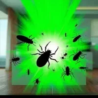 سمپاشی تضمینی سربندر