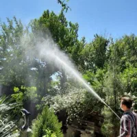 باغبانی.سمپاشی گل وگیاه ، هرس کردن ، کود دهی ،