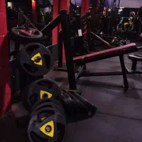 دمبل و وزنه باشگاهی