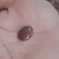 نگین شرف و شمس