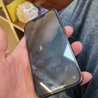 13پرو 256 zaa|موبایل|محمدشهر, محمدشهر|دیوار