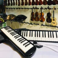 پیانو هنگ درام گیتار ویولن کمانچه سنتور دف کالیمبا|گیتار، بیس، امپلیفایر|بیرجند, |دیوار