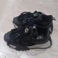 کتانی اسپرت