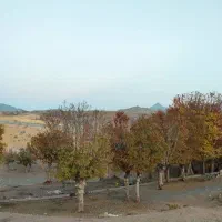 معاوضه-باغ-با-ماشین-خودرو