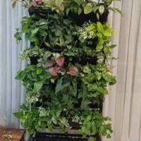 دیوار سبز گرین وال  هوشمند