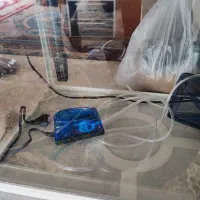 آکواریوم شرکتی دلسا|ماهی|اصفهان, برازنده|دیوار