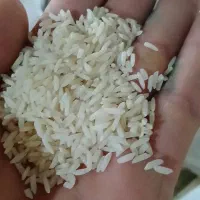 برنج اعلاع سورتینگ خورده هاشمی|خوردنی و آشامیدنی|اصفهان, سرشبادران|دیوار