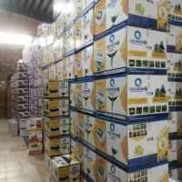 دستگاه جوجه کشی 96 تایی ایزی باتور 2