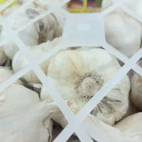 سبزی و میوه|خوردنی و آشامیدنی|کاشان, میدان کهنه|دیوار