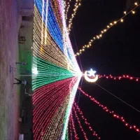 تشریفات مجالس (دستوان)|خدمات پذیرایی، مراسم|خنج, |دیوار