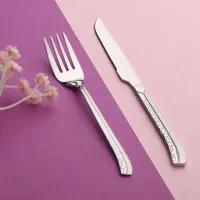 سرویس چاقو و چنگال 12پارچه استیل یونیک آلمان اکبند