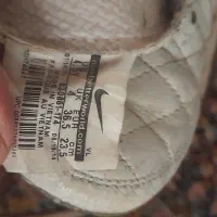 استوک|کیف، کفش، کمربند|قم, شهر قائم|دیوار