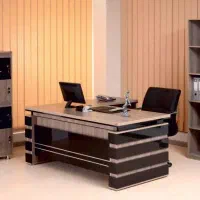 حسابدار حرفه ای خانم