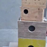 فروش لوازم پرنده|لوازم جانبی حیوانات|نقده, |دیوار