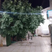 خانه ویلایی ونارچ|فروش خانه و ویلا|قم, پردیسان|دیوار